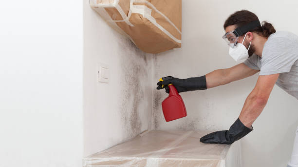 Professional Bathroom Mold Removal technician working in Hollsopple, PA